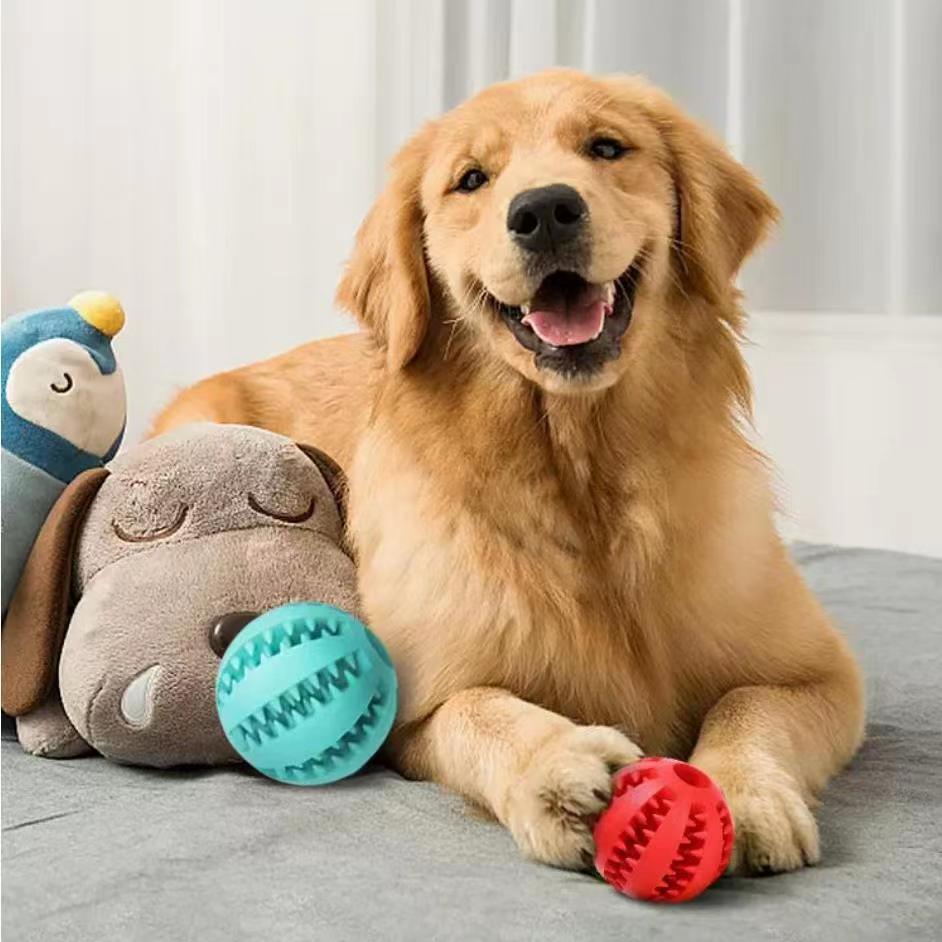 Interactive Dog Chew & Treat Ball with Rope