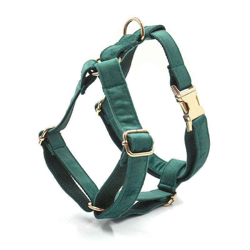 Green Velvet Pet Collar & Leash