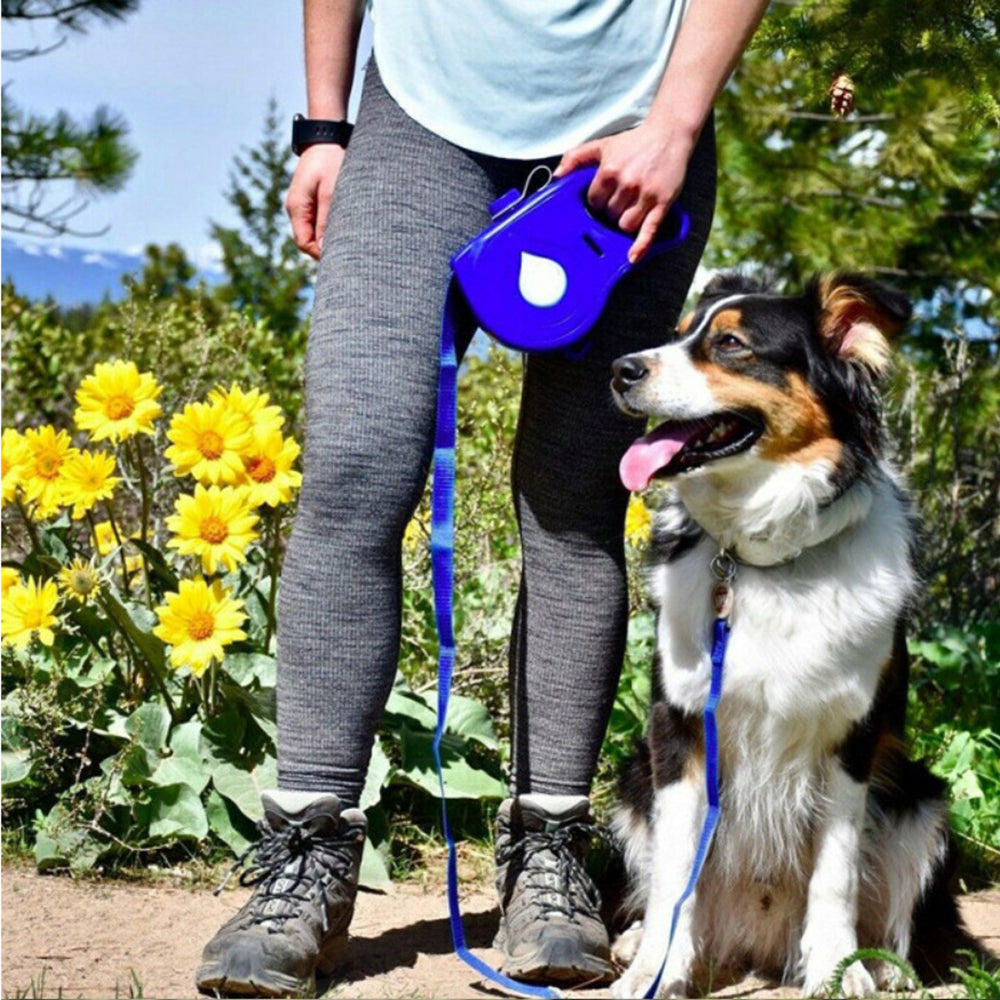 Pet Leash & Harness