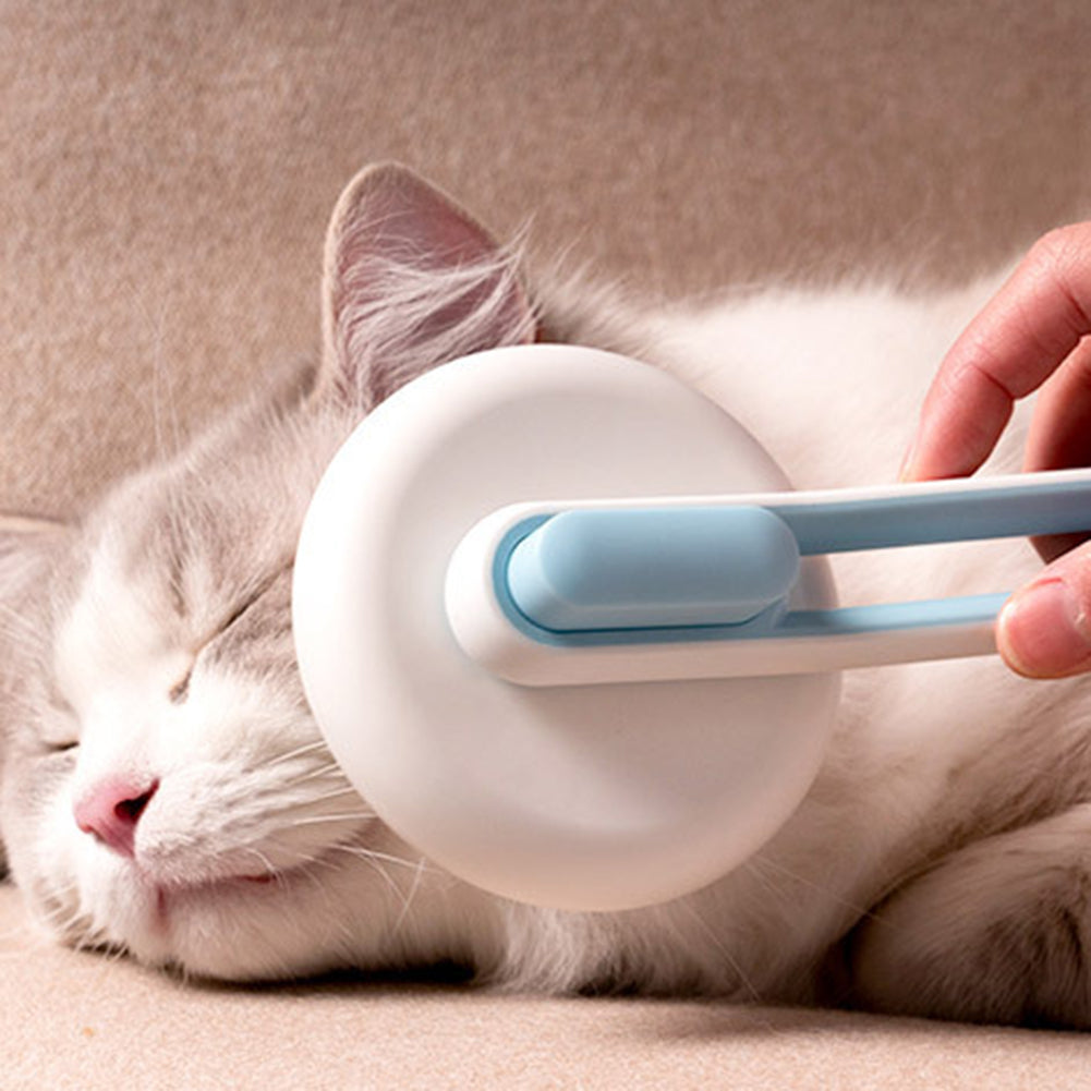 Self-Cleaning Pet Hair Brush