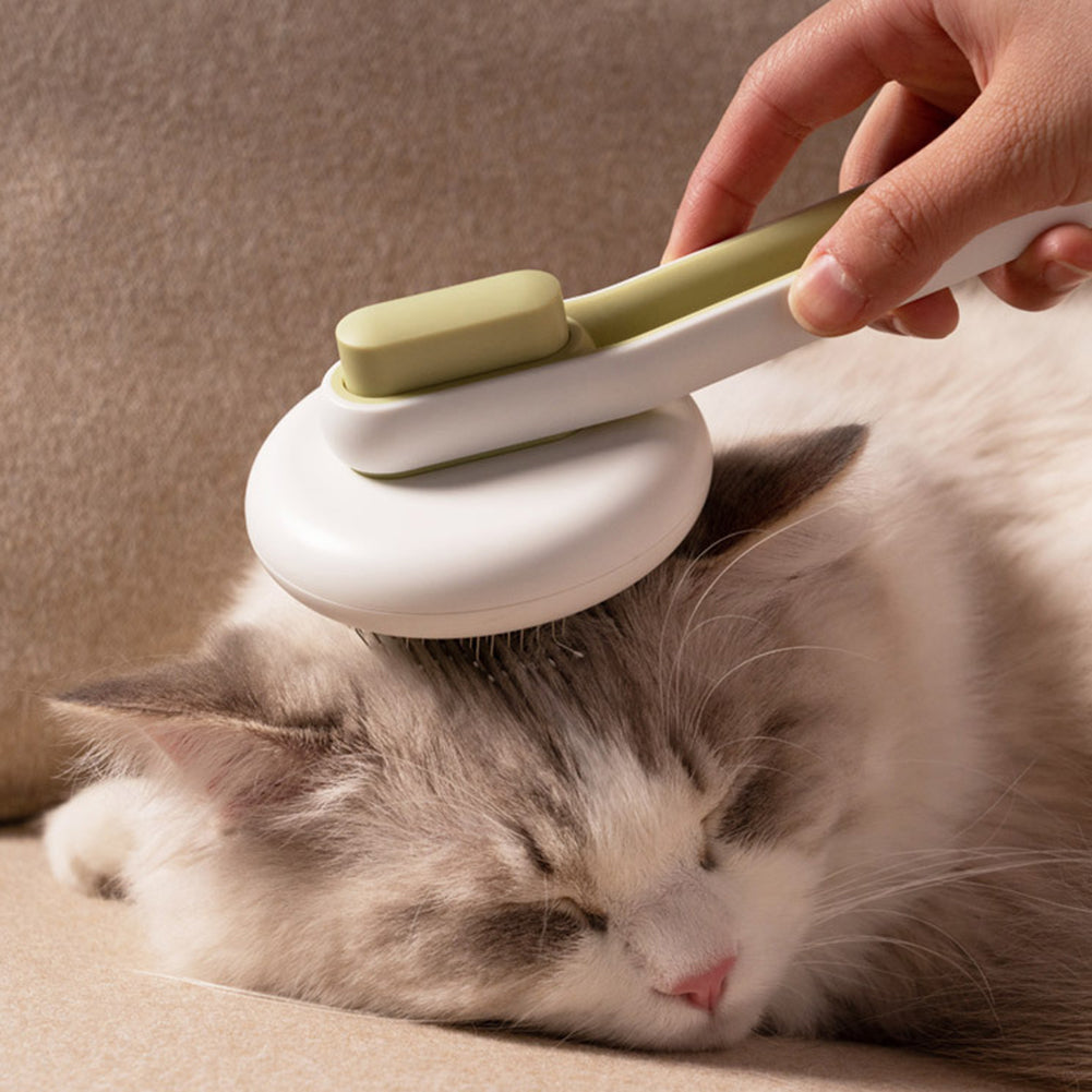 Pet Grooming