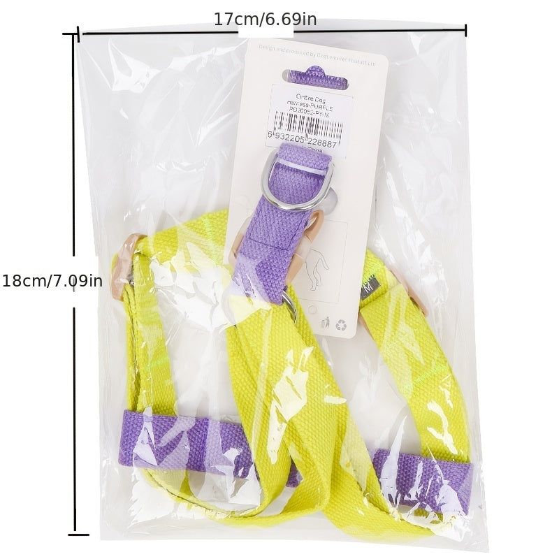 Rainbow Colorblock Pet Harness Set