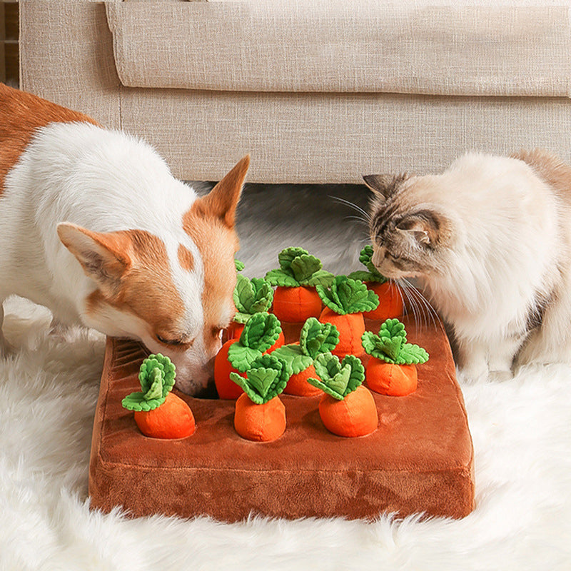 Pet Toys