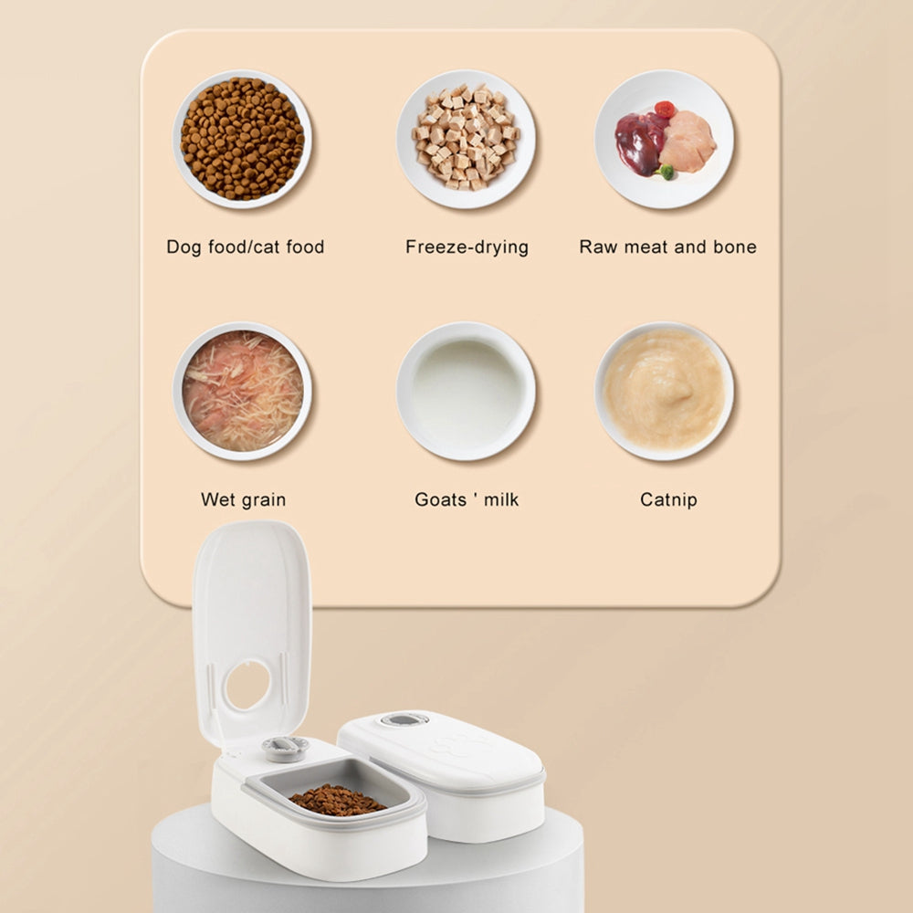 Automatic Pet Feeder & Gravity Water Dispenser