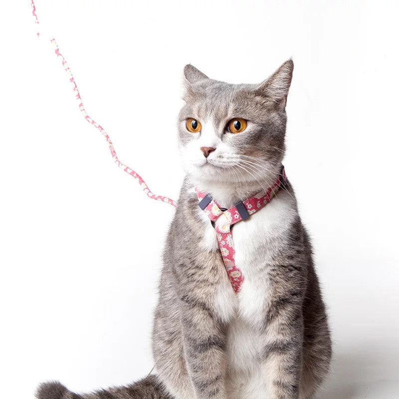 Slipping Cat Harness and Leash Set