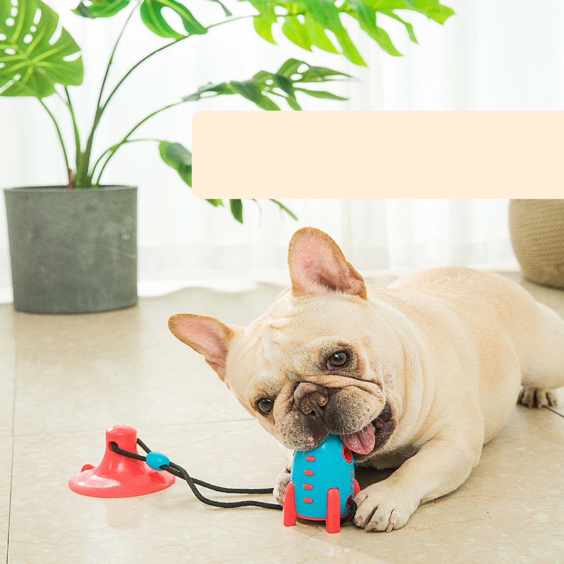 Rocket Dog Chew & Treat Toy