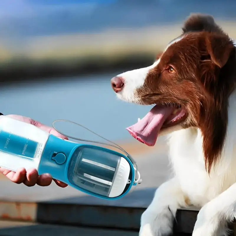 3-in-1 Portable Pet Water Bottle
