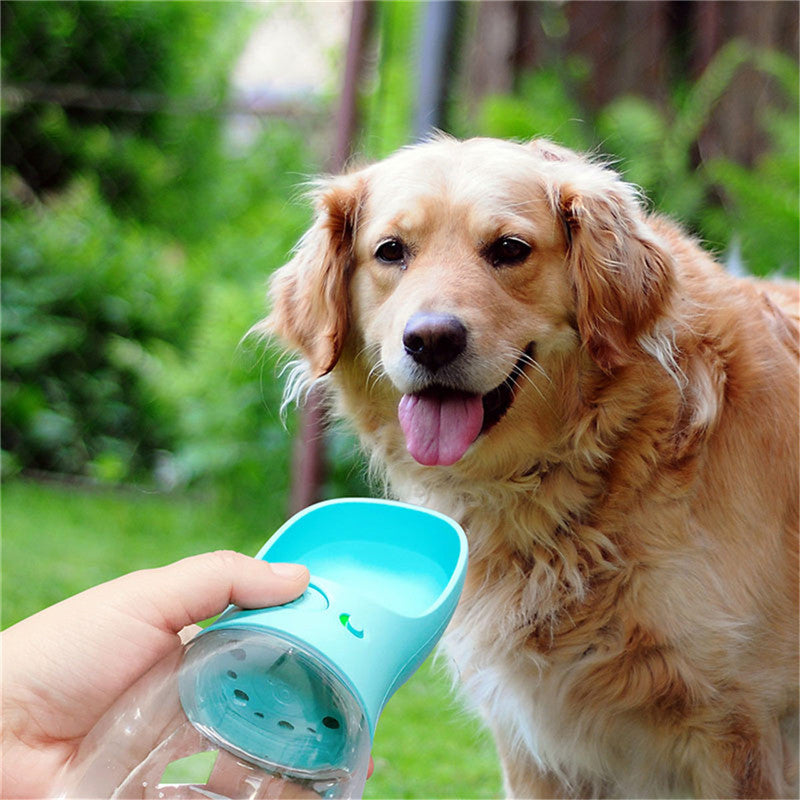 Pet Feeding
