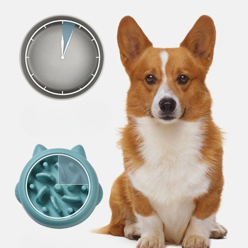 Slow Feeder Pet Bowl