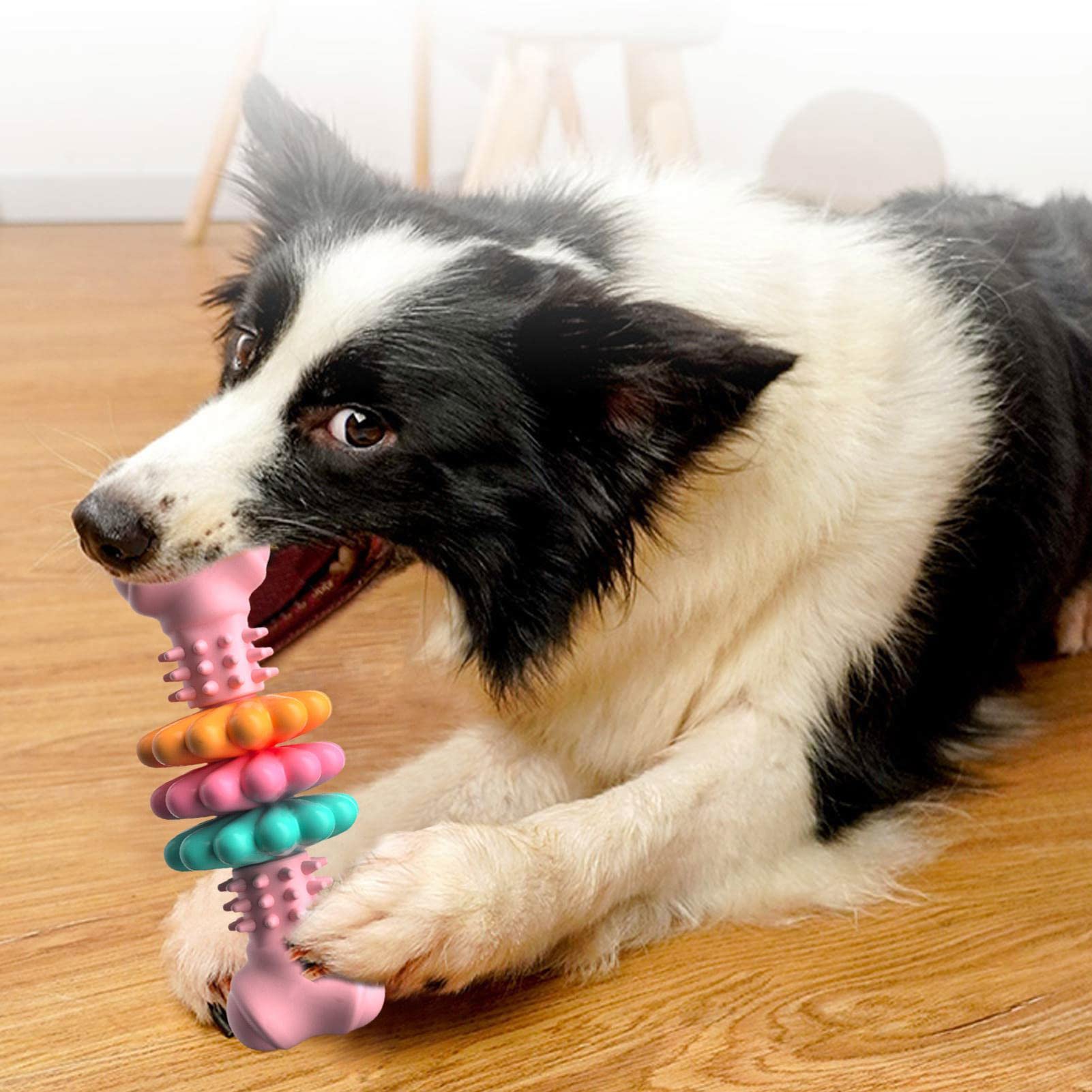 TPR Dog Chew Bone