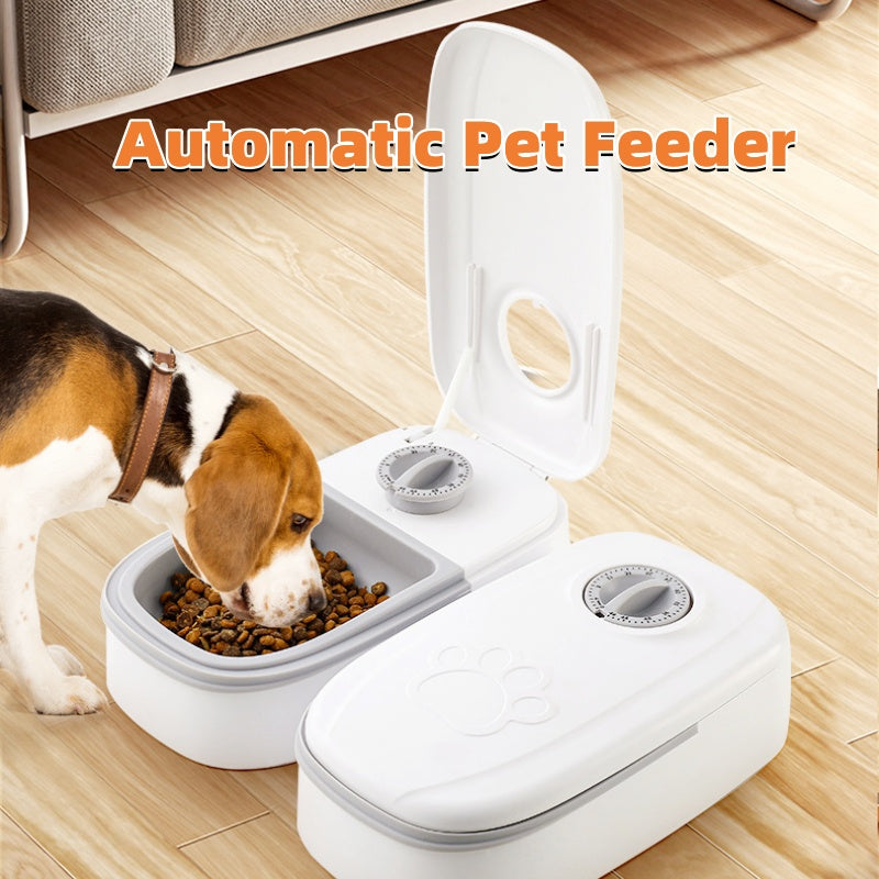 Automatic Pet Feeder & Gravity Water Dispenser