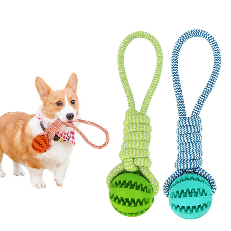 Interactive Dog Chew & Treat Ball with Rope
